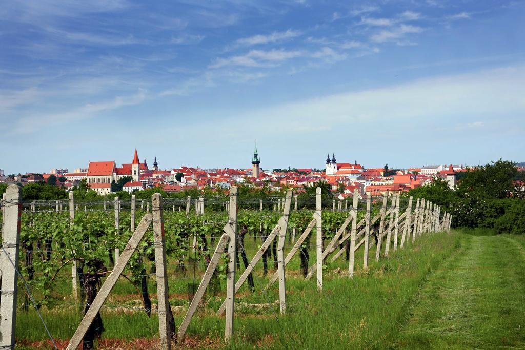 Vas Sklep - Vinny Sklep A Penzion Znojmo Exteriör bild